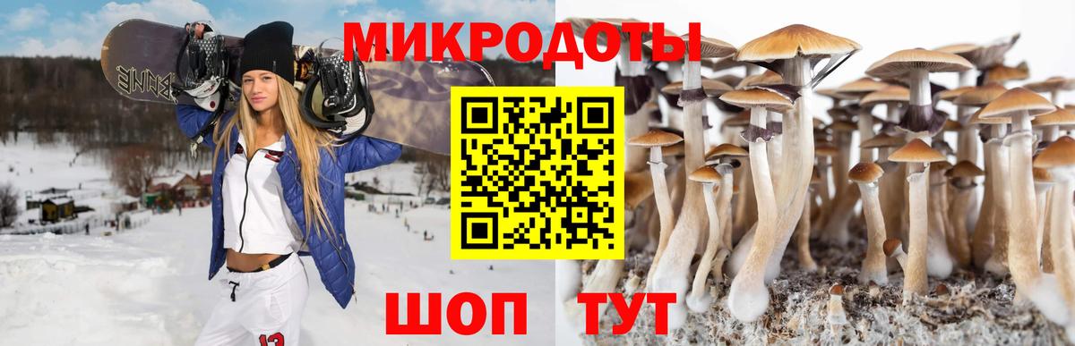 Нефтекамск  Галлюциногенные грибы GOLDEN TEACHER  Галлюциногенные грибы прущие грибы  Вход с VPN 